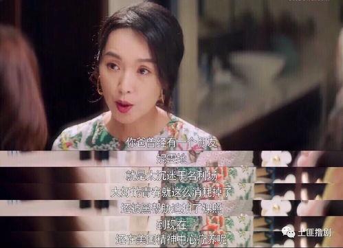 娱乐圈吃瓜人名